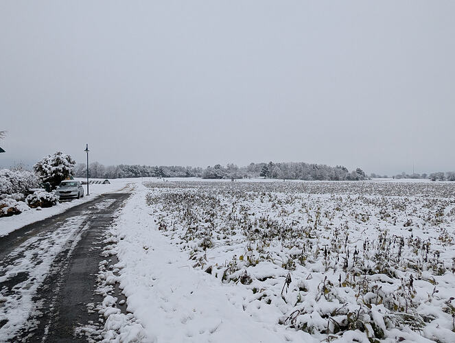 PXL_20251225_103535343