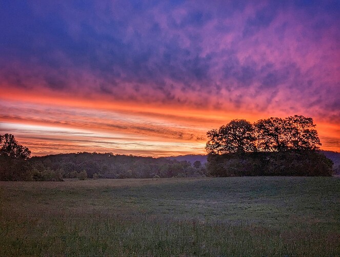 PXL_20230505_103714767.MP-01