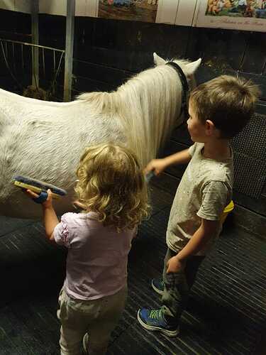IMG-20220828-WA0036