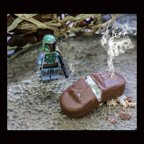 LEGO Bounty