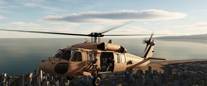 Digital Combat Simulator  Black Shark Screenshot 2022.02.18 - 01.42.15.18