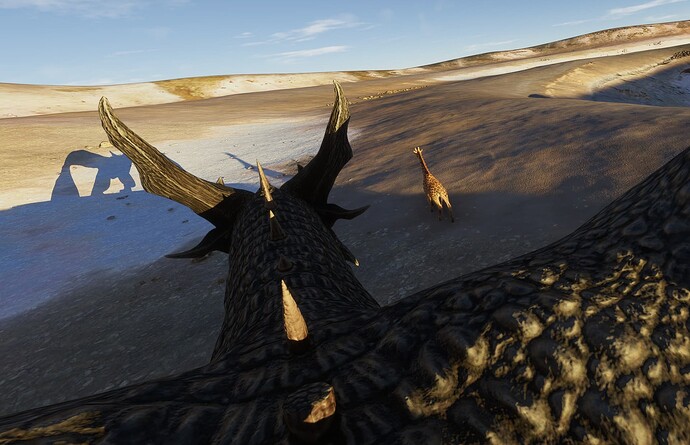 FS2020_20251121_94904_L