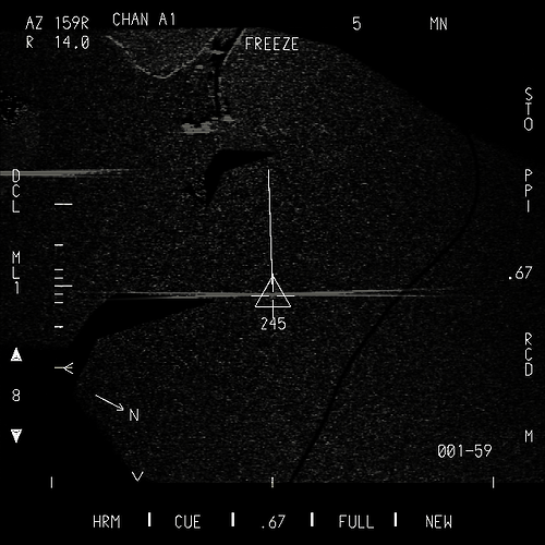 mfd_fcl_baked_image_postpro2011-06-01 10h46m49s