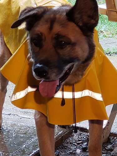 305185154_5726822053996173_990926484438590010_n