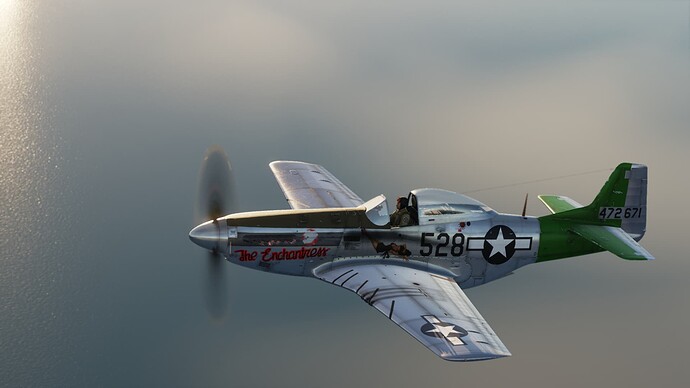 Digital Combat Simulator  Black Shark Screenshot 2021.07.31 - 18.43.19.26