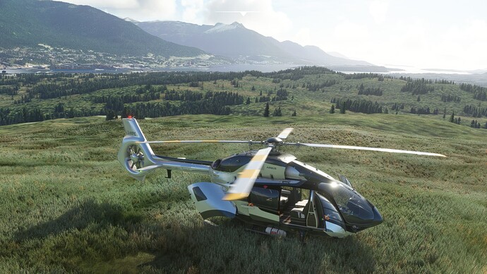 Microsoft Flight Simulator Screenshot 2021.08.28 - 12.22.00.65