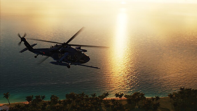 Digital Combat Simulator  Black Shark Screenshot 2022.02.11 - 23.50.12.21