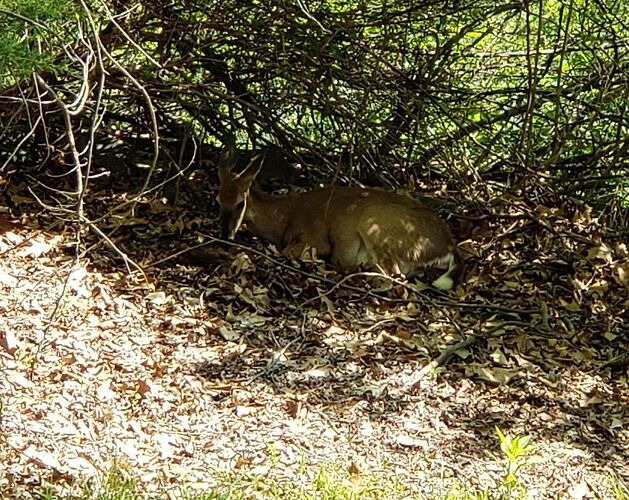 345648361_543326294676244_4965624332499439734_n