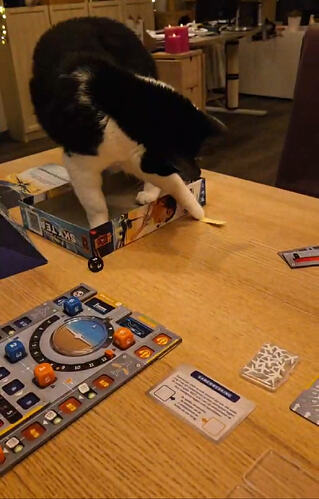 Screenshot_20251221-214007_1