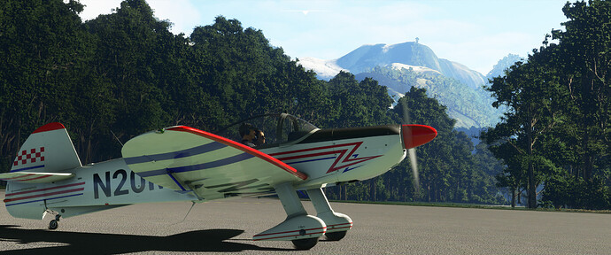 FS-217