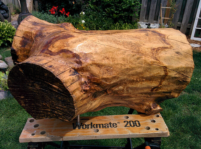 IMG_20170819_140559 - Copy