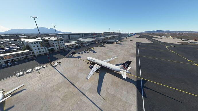 Microsoft Flight Simulator Screenshot 2020.12.29 - 14.36.27.100