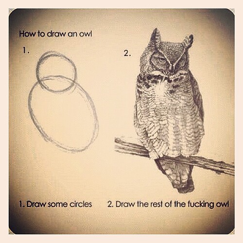 owl