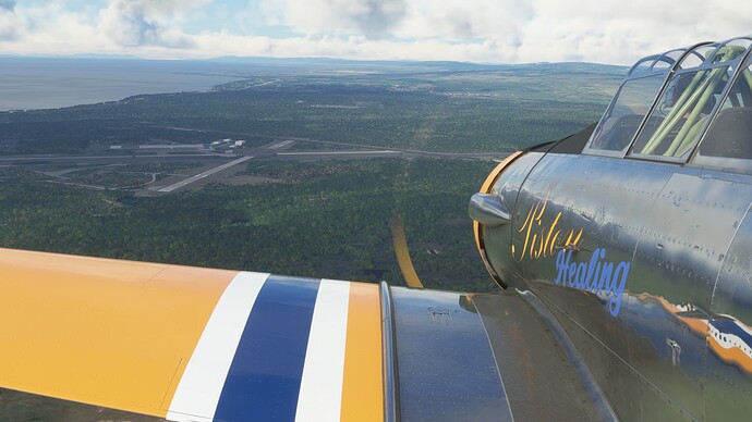 Microsoft Flight Simulator Screenshot 2021.12.13 - 01.00.37.11