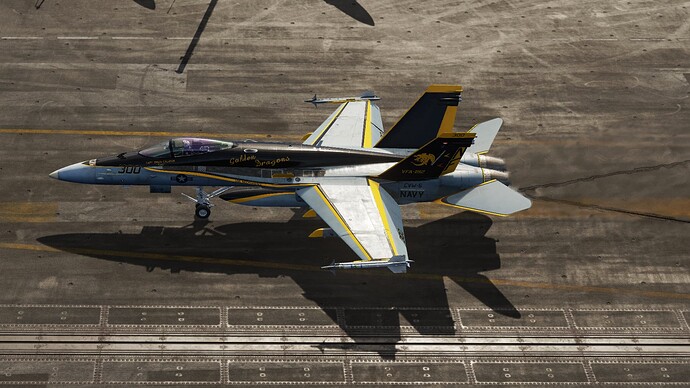 Digital Combat Simulator  Black Shark Screenshot 2021.11.10 - 21.01.17.35
