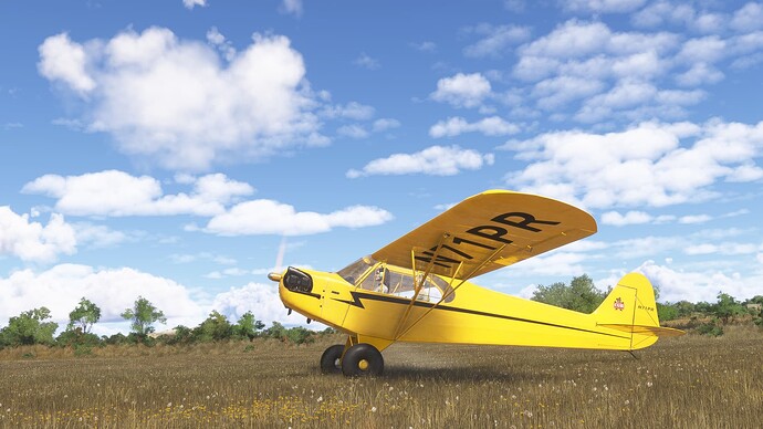 Microsoft Flight Simulator 2024 Screenshot 2025.10.23 - 14.37.33.54 - Copy (2) - Copy
