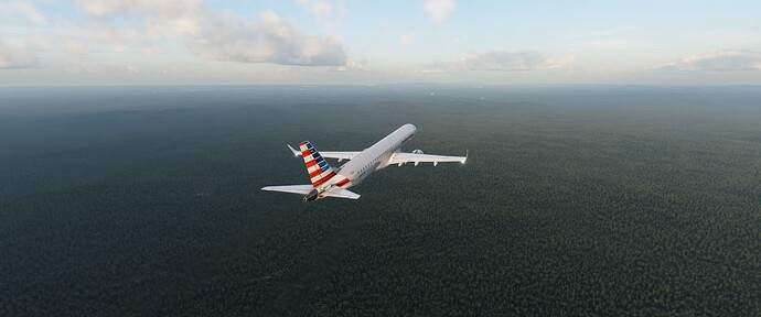 X-Plane Screenshot 2025.11.23 - 15.45.45.13