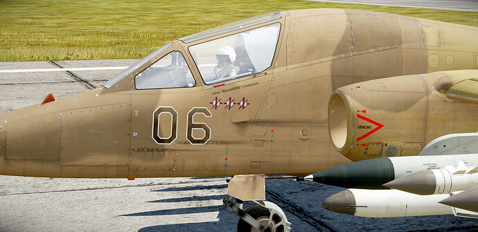 DCS-29
