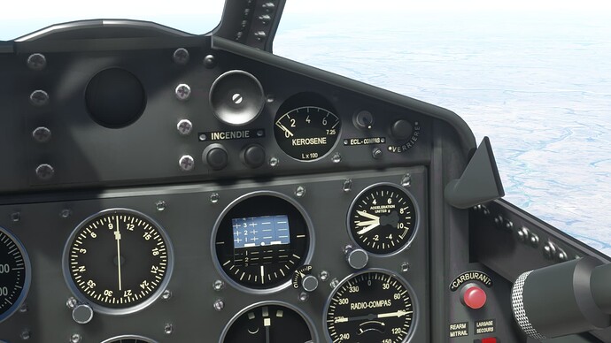 Microsoft Flight Simulator Screenshot 2021.12.14 - 00.02.17.22