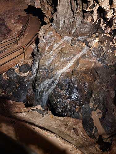 IMG-20220828-WA0020