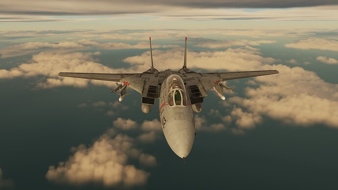 F-14pic5