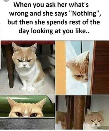 49540967_2081452228616286_8814760573574053888_n