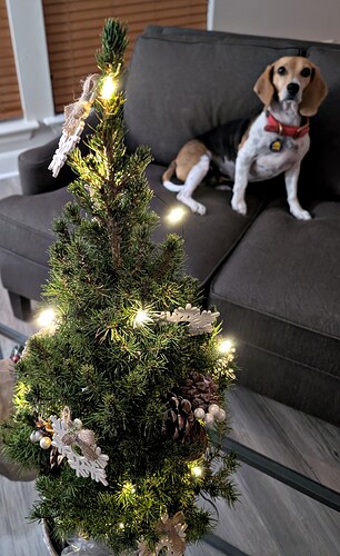tree2