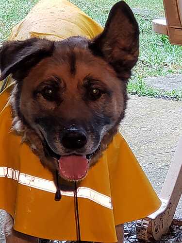 305115900_5726821823996196_3851978609512021994_n