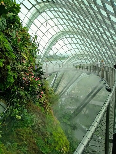 IMG_20181129_121008874