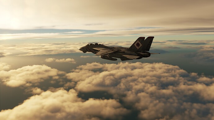 F-14pic2
