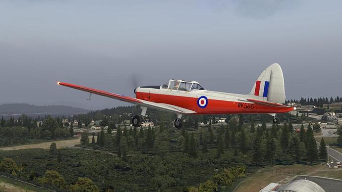 X-Plane%202019-11-03%2000-22-19-25