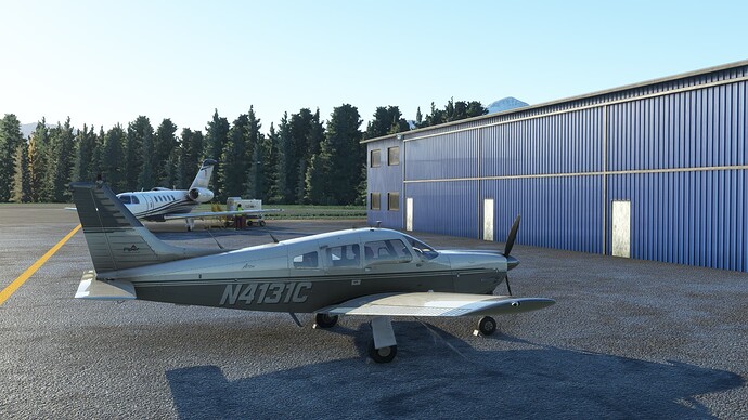 Microsoft Flight Simulator Screenshot 2022.03.08 - 20.28.15.87