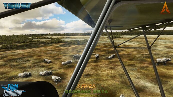 okavangodelta_04_1_1