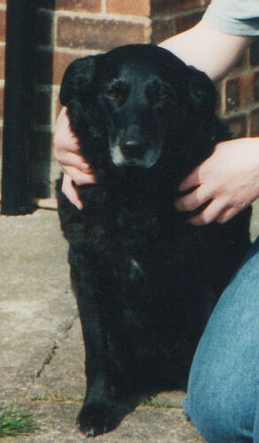 Shaz Tess George 2002