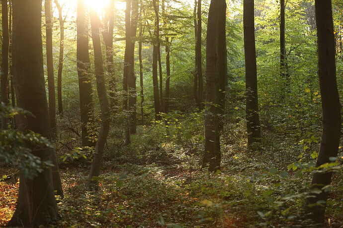 20191027163251_6Z6A6934