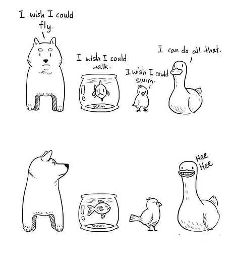 51560240_2493424007366062_1687247695728607232_n