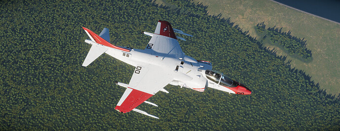 10-HARRIER-06