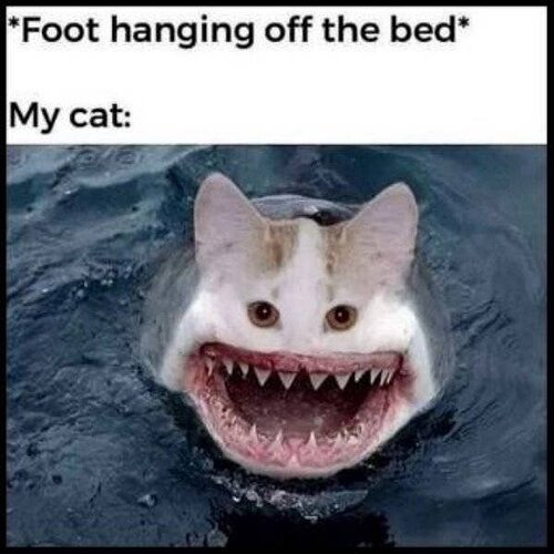 random-funny-memes-42-1