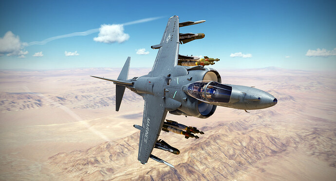 HARRIER-081