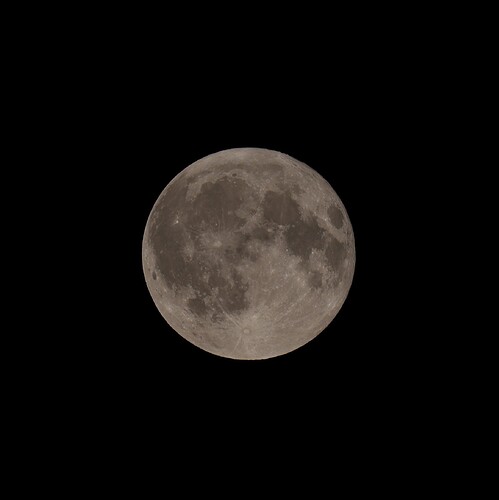 2W8A1926~2