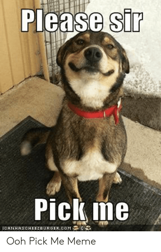 please-sir-pick-me-canhascheezeurger-com-ooh-pick-me-meme-51001192