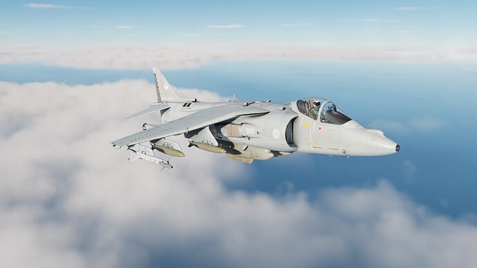 harrierpic1