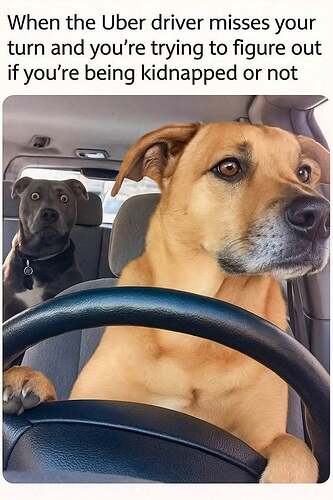 518281410_1273045407863656_7229877931344802147_n