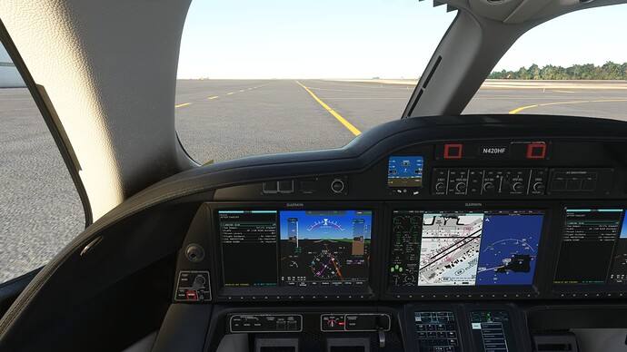 Microsoft Flight Simulator Screenshot 2022.06.03 - 11.50.38.37
