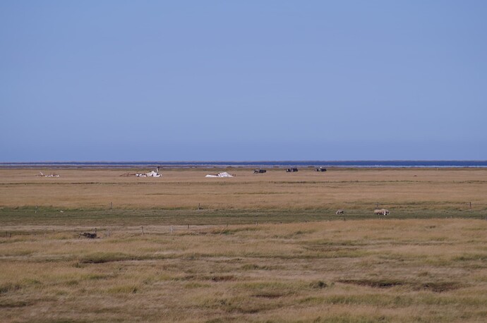 DSC09563