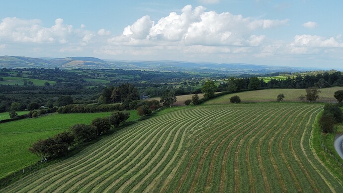 dji_fly_20230902_160102_129_1693666998243_photo_optimized