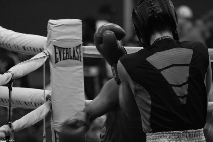 PAL%20Boxing%20-0585