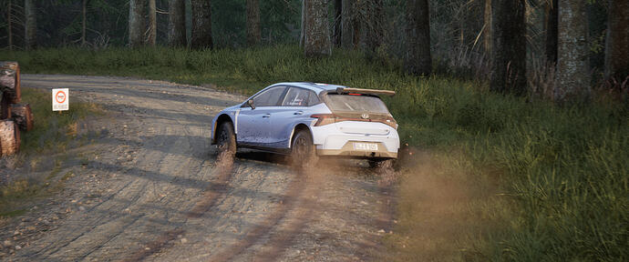 Assetto Corsa Rally Screenshot 2026.02.02 - 17.29.26.85