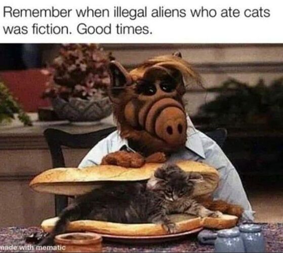 459361521_9120623404618445_3579206728204235705_n