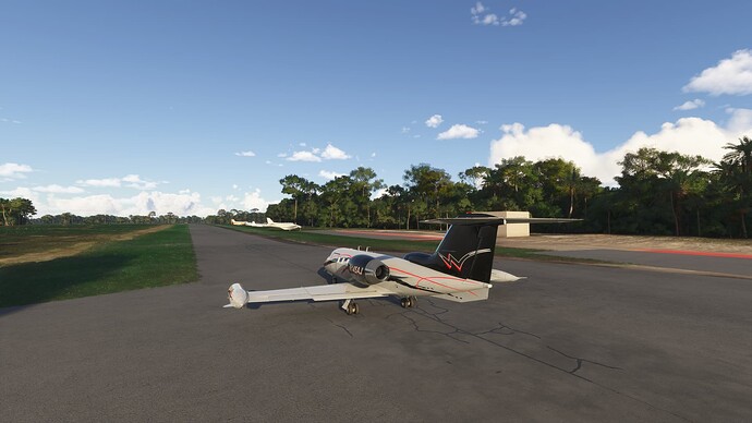 Microsoft Flight Simulator 2024 Screenshot 2025.06.20 - 17.49.50.76 - Copy